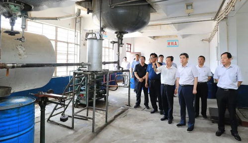 集團(tuán)領(lǐng)導(dǎo)深入實業(yè)公司調(diào)研，聚焦轉(zhuǎn)型發(fā)展重點